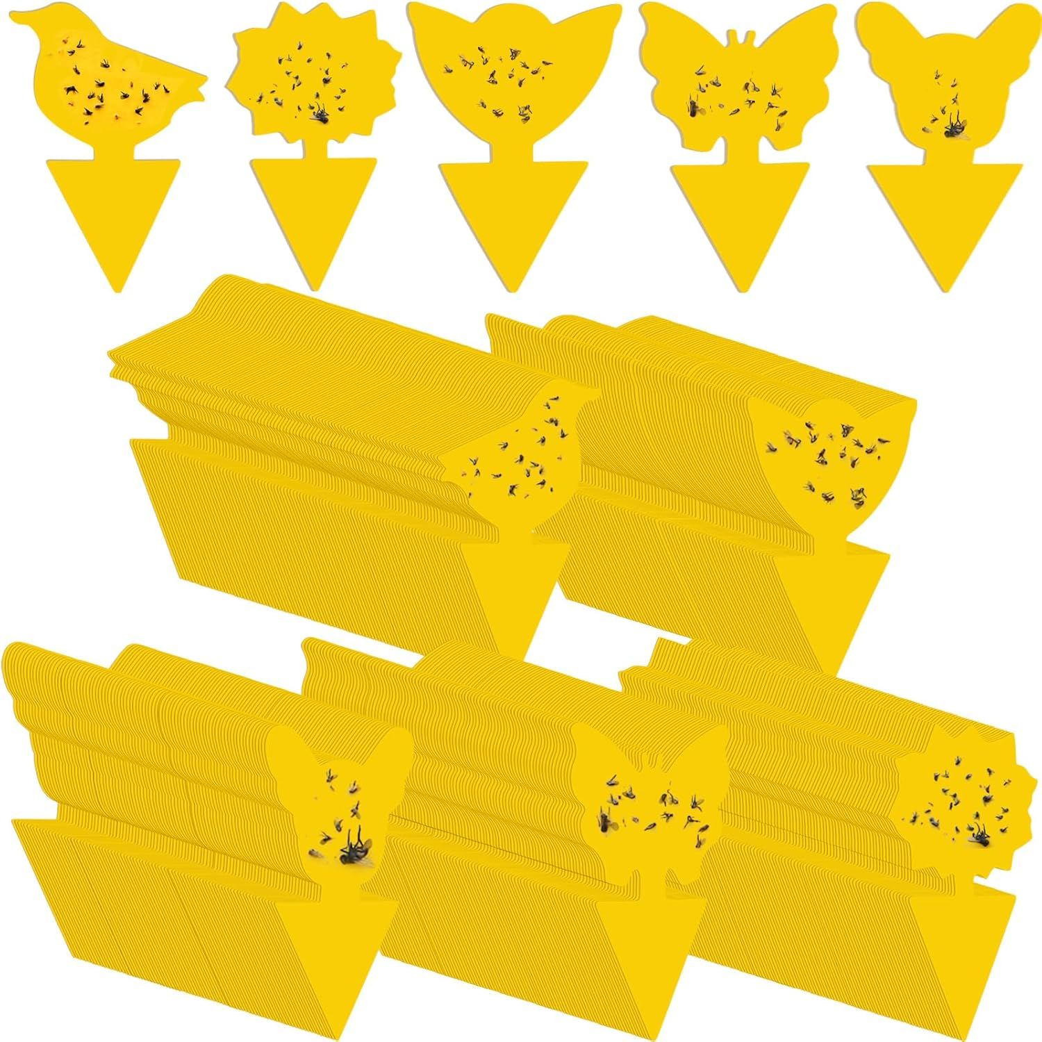 200 Sheets Fruit Fly Sticky Traps for Fruit Fly Gnat Trap for House Indoors Stic