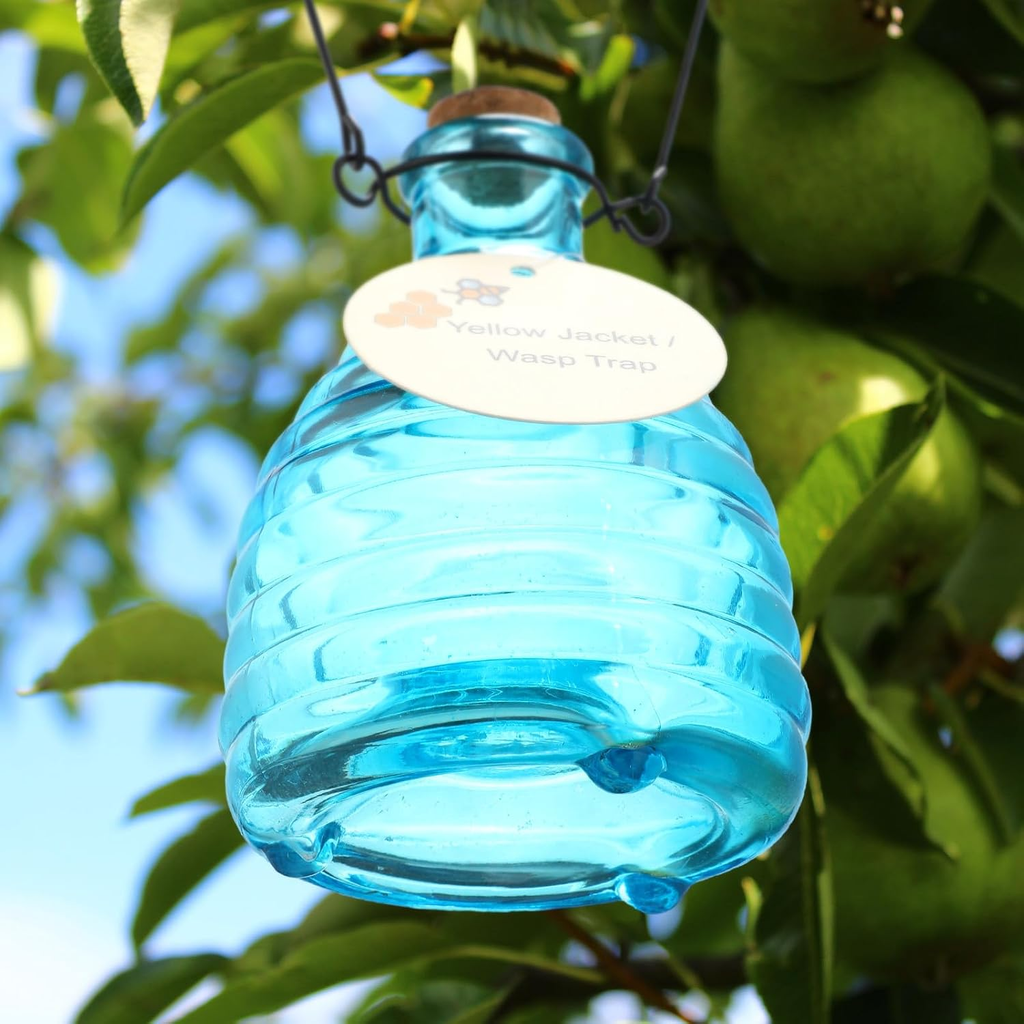 2 Pieces Glass Wasp Trap Outdoor Hanging Reusable Wasp Traps with Steel Hooks Ye