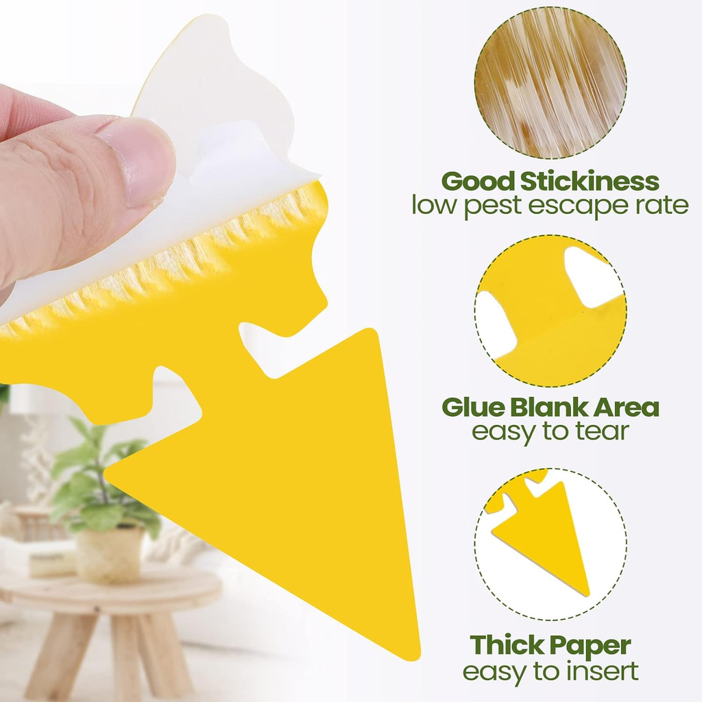 200 Sheets Fruit Fly Sticky Traps for Fruit Fly Gnat Trap for House Indoors Stic