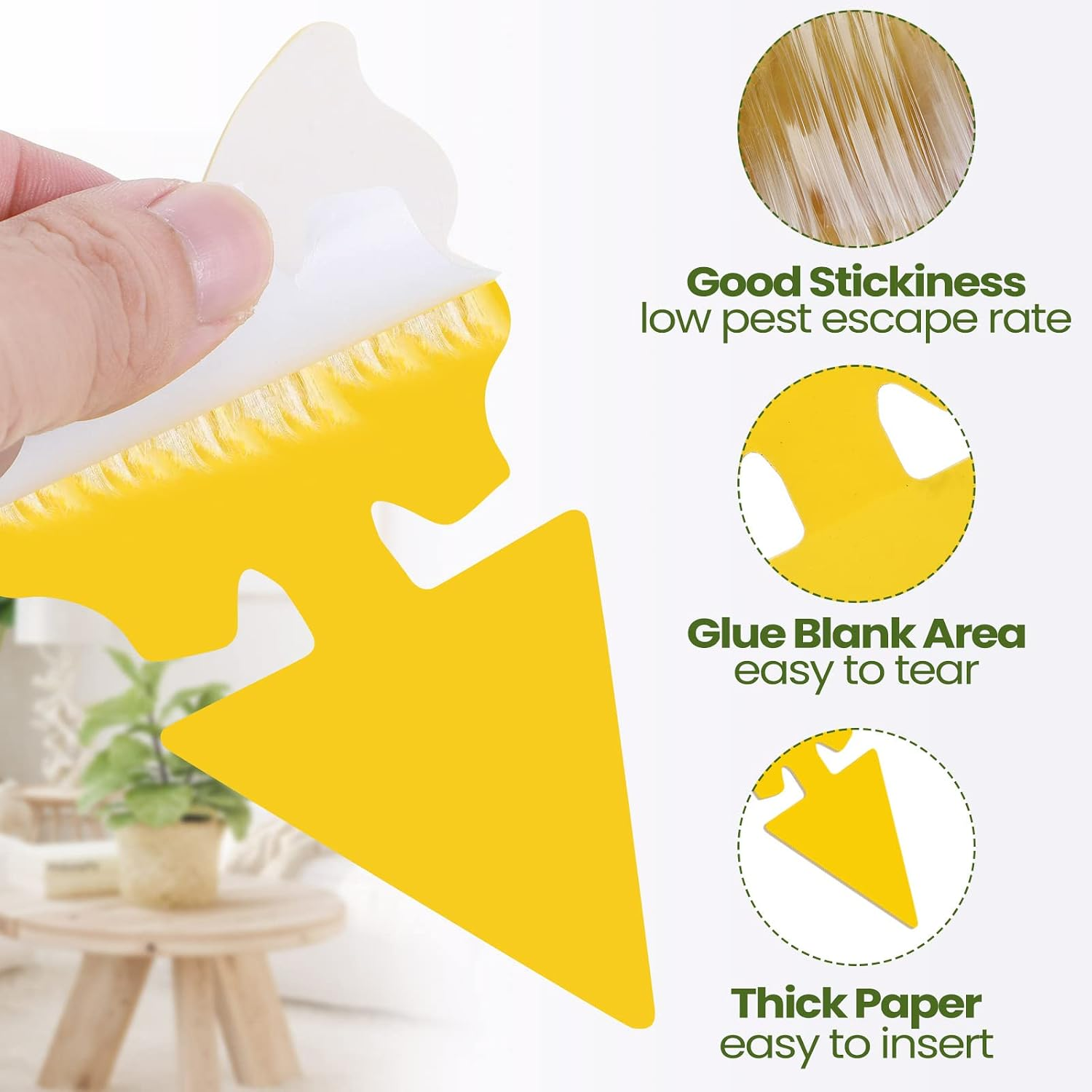 200 Sheets Fruit Fly Sticky Traps for Fruit Fly Gnat Trap for House Indoors Stic